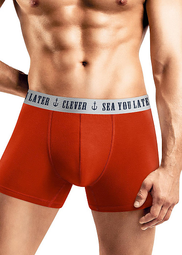 Трусы муж. Clever