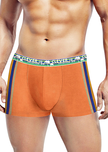 Шорты Clever