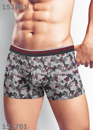 Трусы муж. Clever