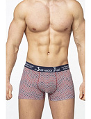 Трусы муж. Salvador Dali