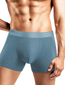 Трусы муж. Clever