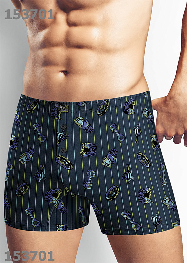 Трусы муж. Clever