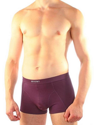 Трусы муж. Intri
