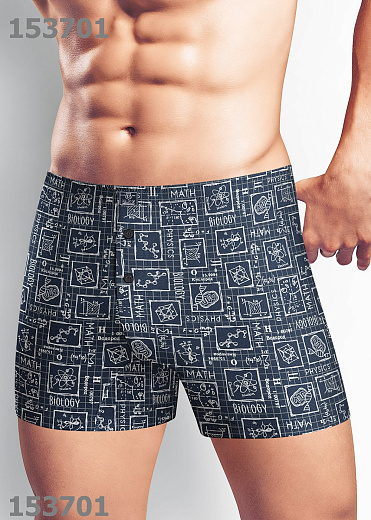 Трусы муж. Clever