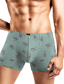 Трусы муж. Clever