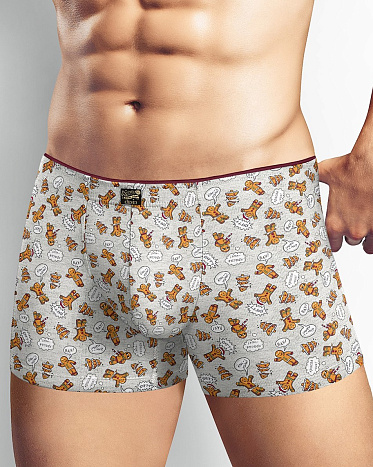 Трусы муж. Clever