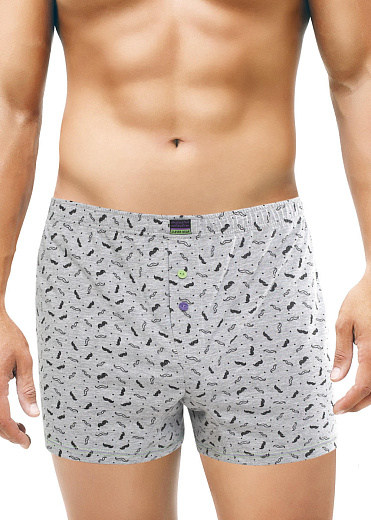 Боксеры Clever