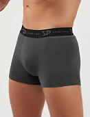 Трусы муж. Salvador Dali