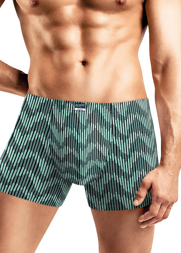 Трусы муж. Clever