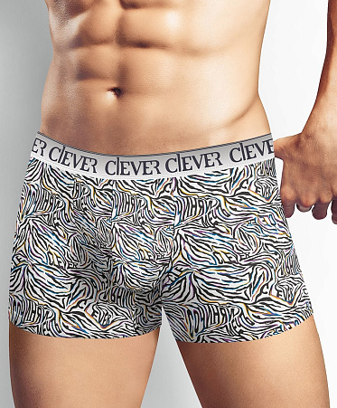 Трусы муж. Clever