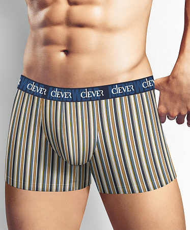 Трусы муж. Clever