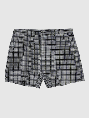 Боксеры Zet Day