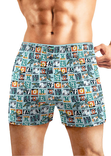 Трусы муж. Clever