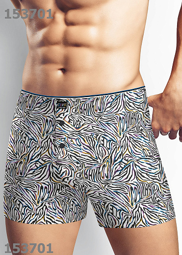 Трусы муж. Clever