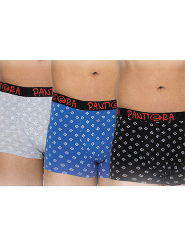 Трусы Pandora