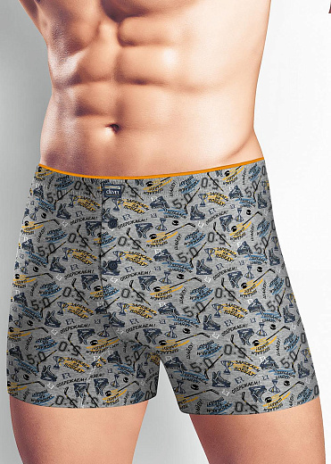 Трусы муж. Clever