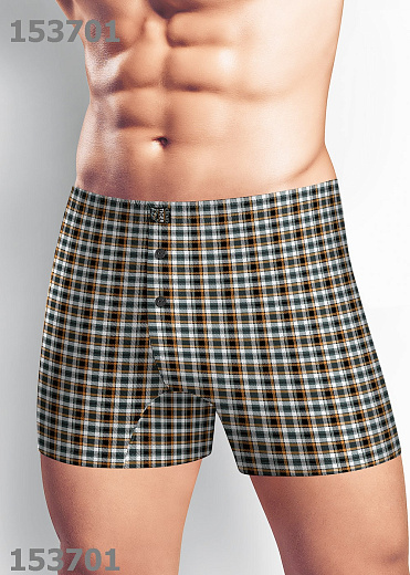 Трусы муж. Clever