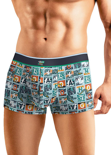 Трусы муж. Clever