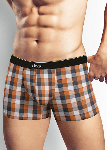 Трусы муж. Clever