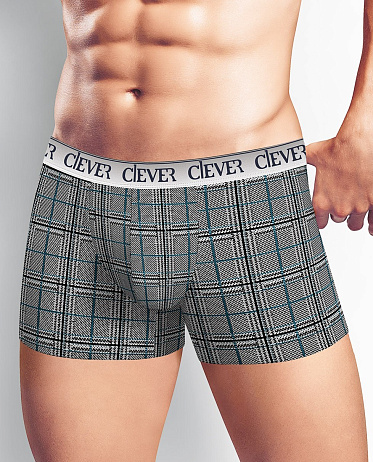 Трусы муж. Clever