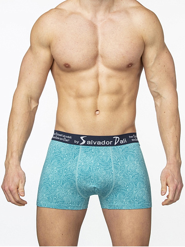 Трусы муж. Salvador Dali
