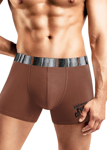 Трусы муж. Clever