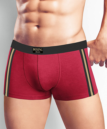 Трусы муж. Clever