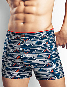 Трусы муж. Clever