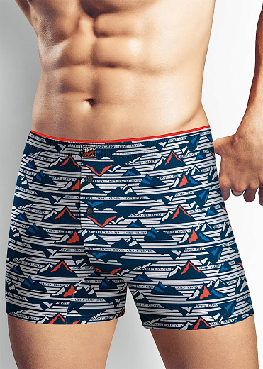 Трусы муж. Clever