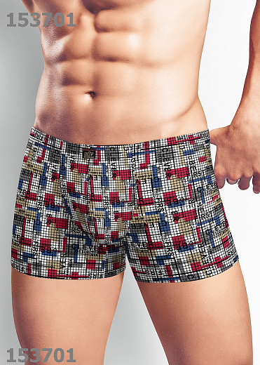 Трусы муж. Clever