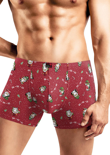 Трусы муж. Clever